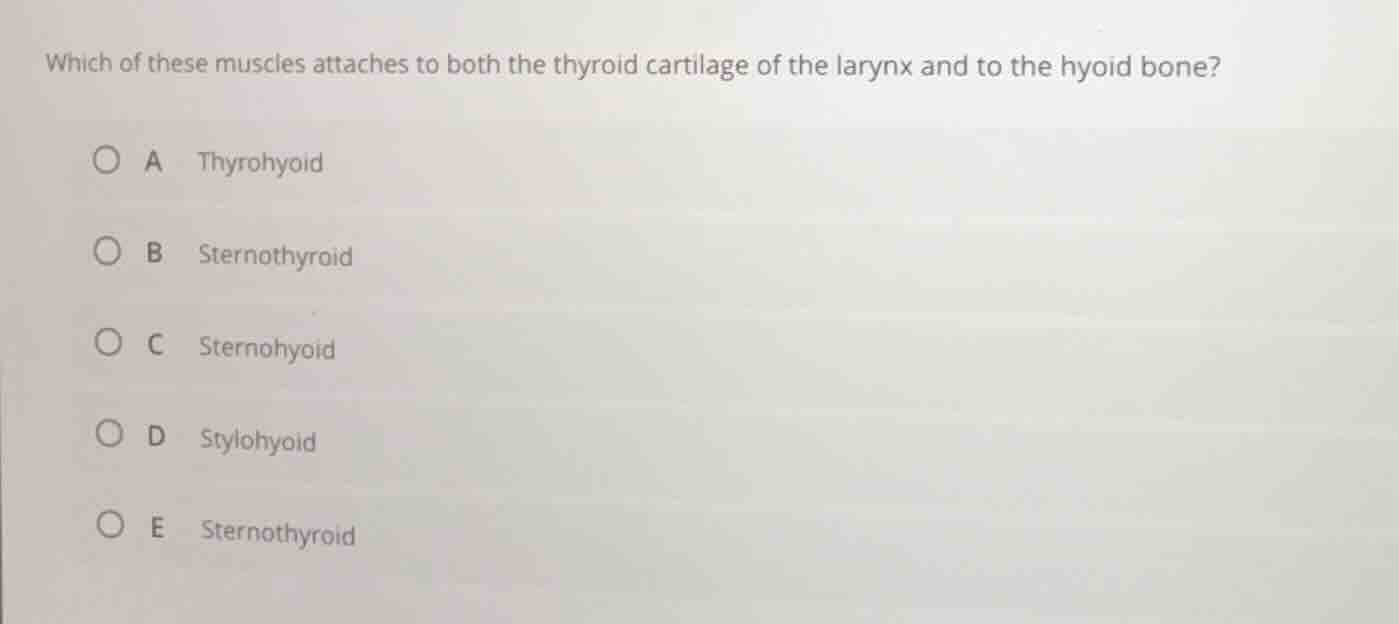 which of these muscles attaches to both the thyroid cartilage of the la…