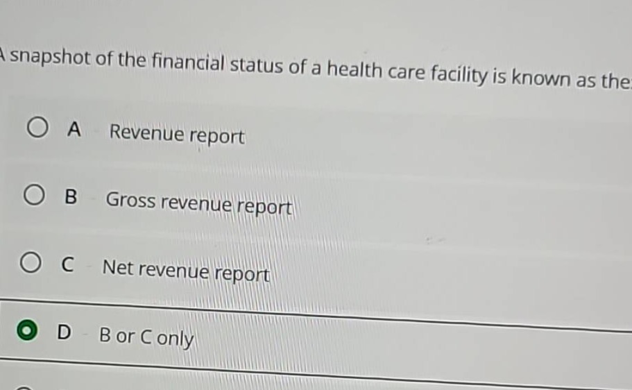 a snapshot of the financial status of a health care facility is known a…