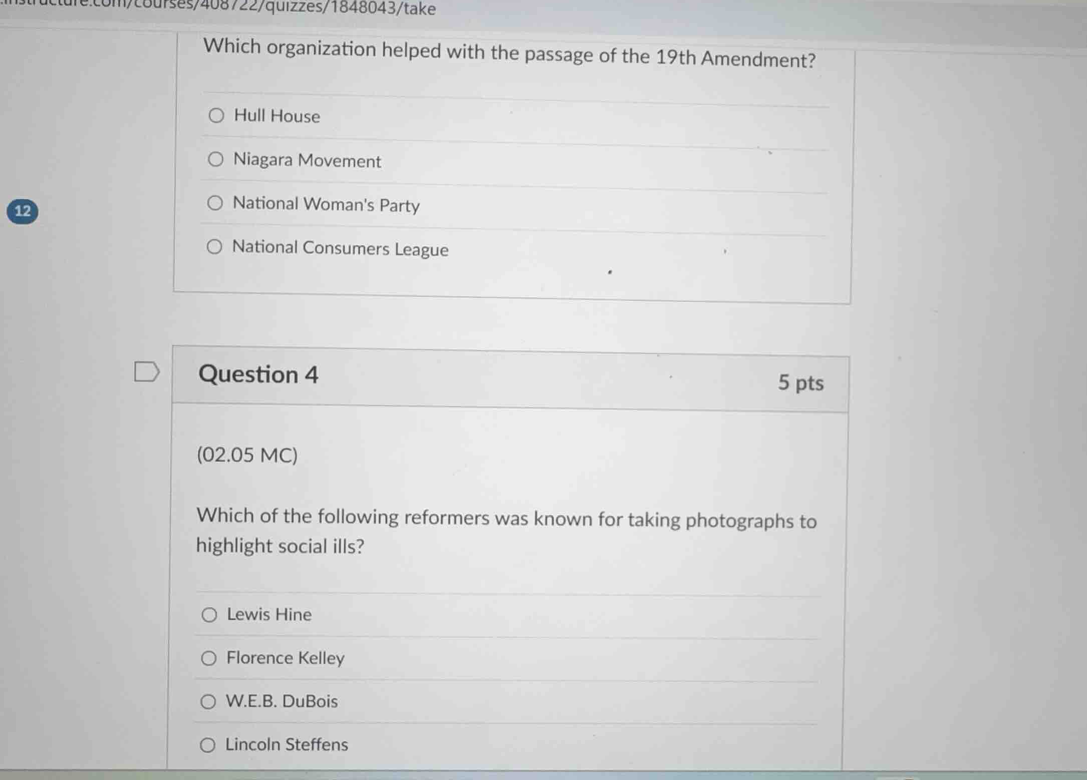 which organization helped with the passage of the 19th amendment? hull …