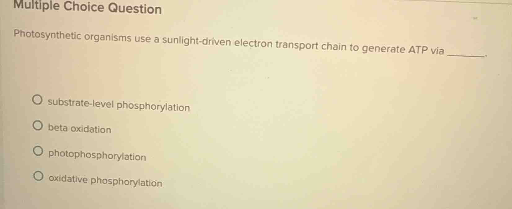 multiple choice question photosynthetic organisms use a sunlight-driven…