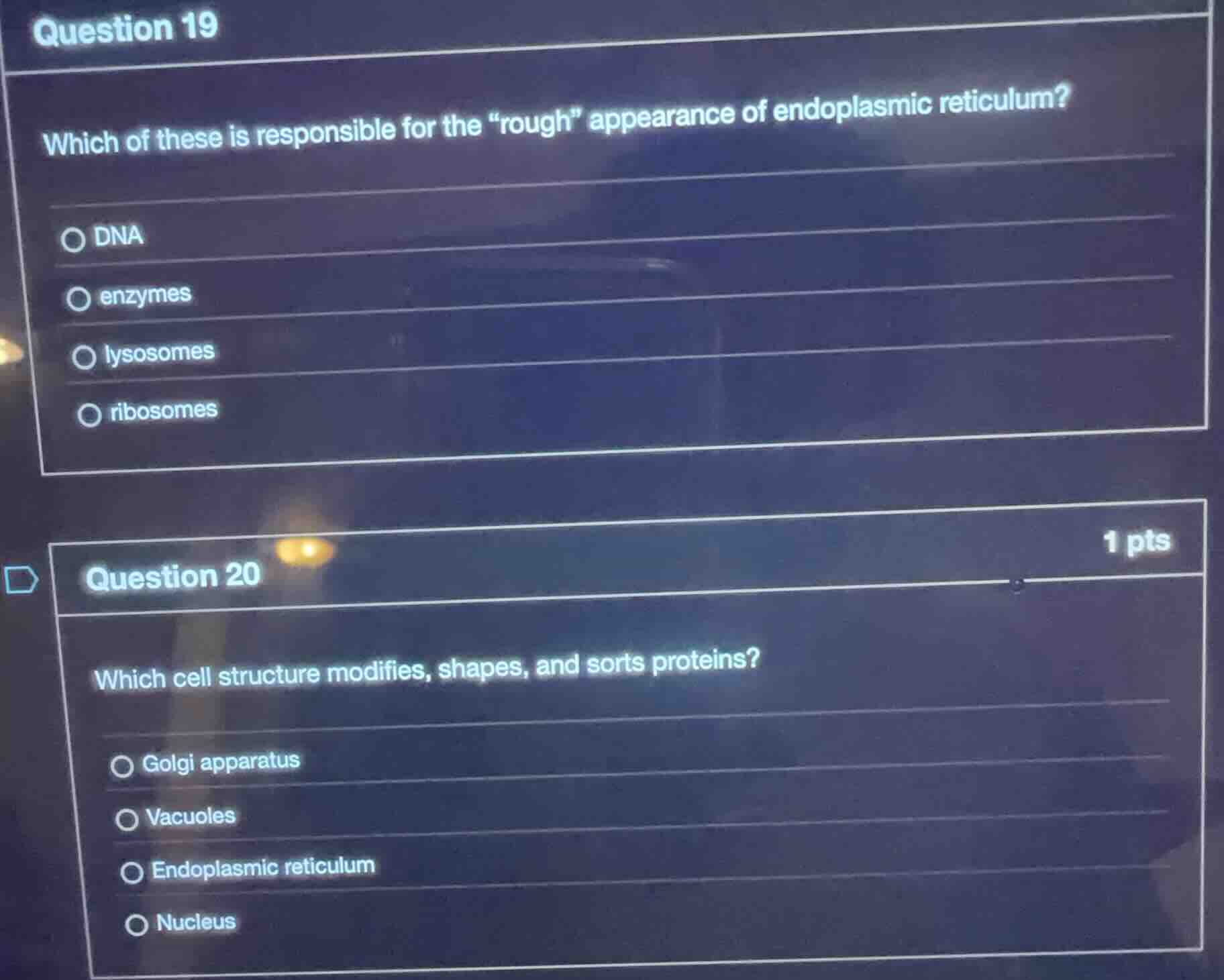 question 19 which of these is responsible for the ough\ appearance of e…