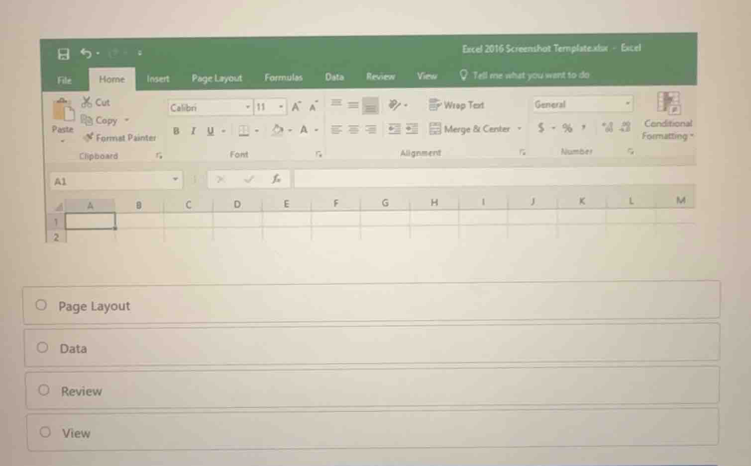 page layout data review view