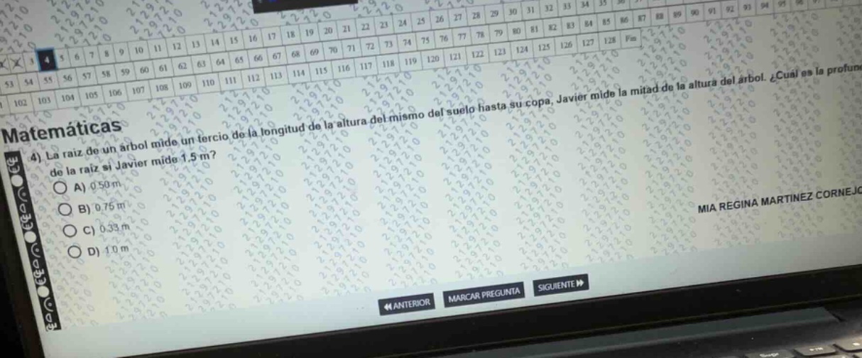 matemáticas 4) la raíz de un árbol mide un tercio de la longitud de la …