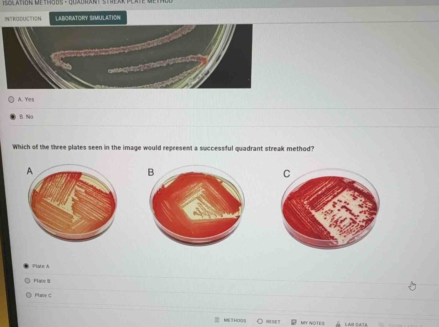 which of the three plates seen in the image would represent a successfu…