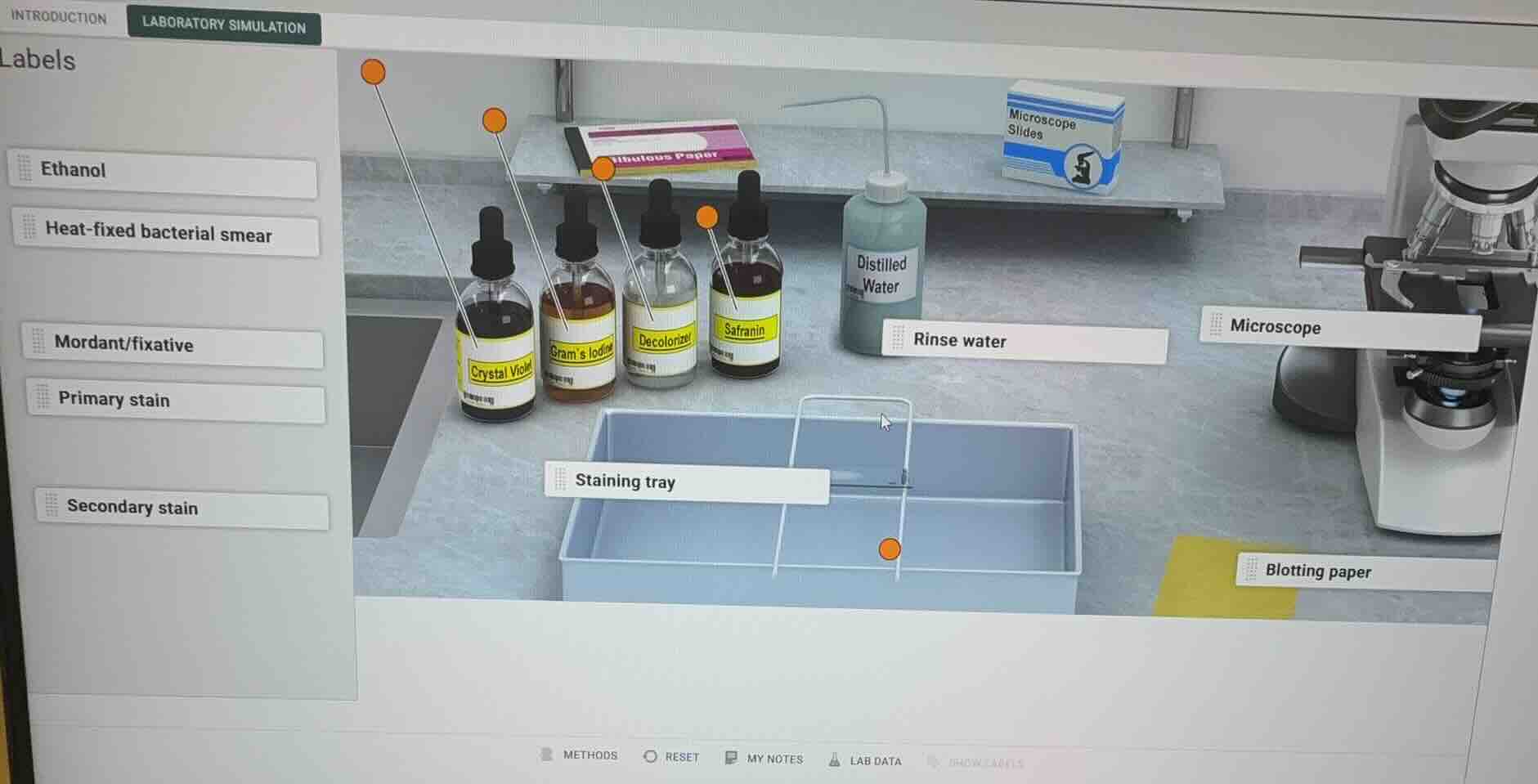 labels ethanol heat-fixed bacterial smear mordant/fixative primary stai…