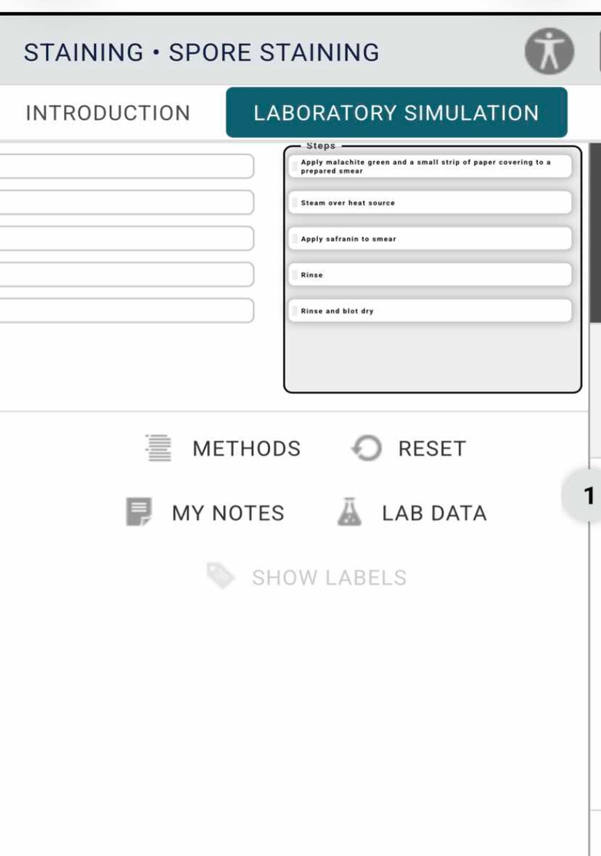 staining • spore staining laboratory simulation steps apply malachite g…