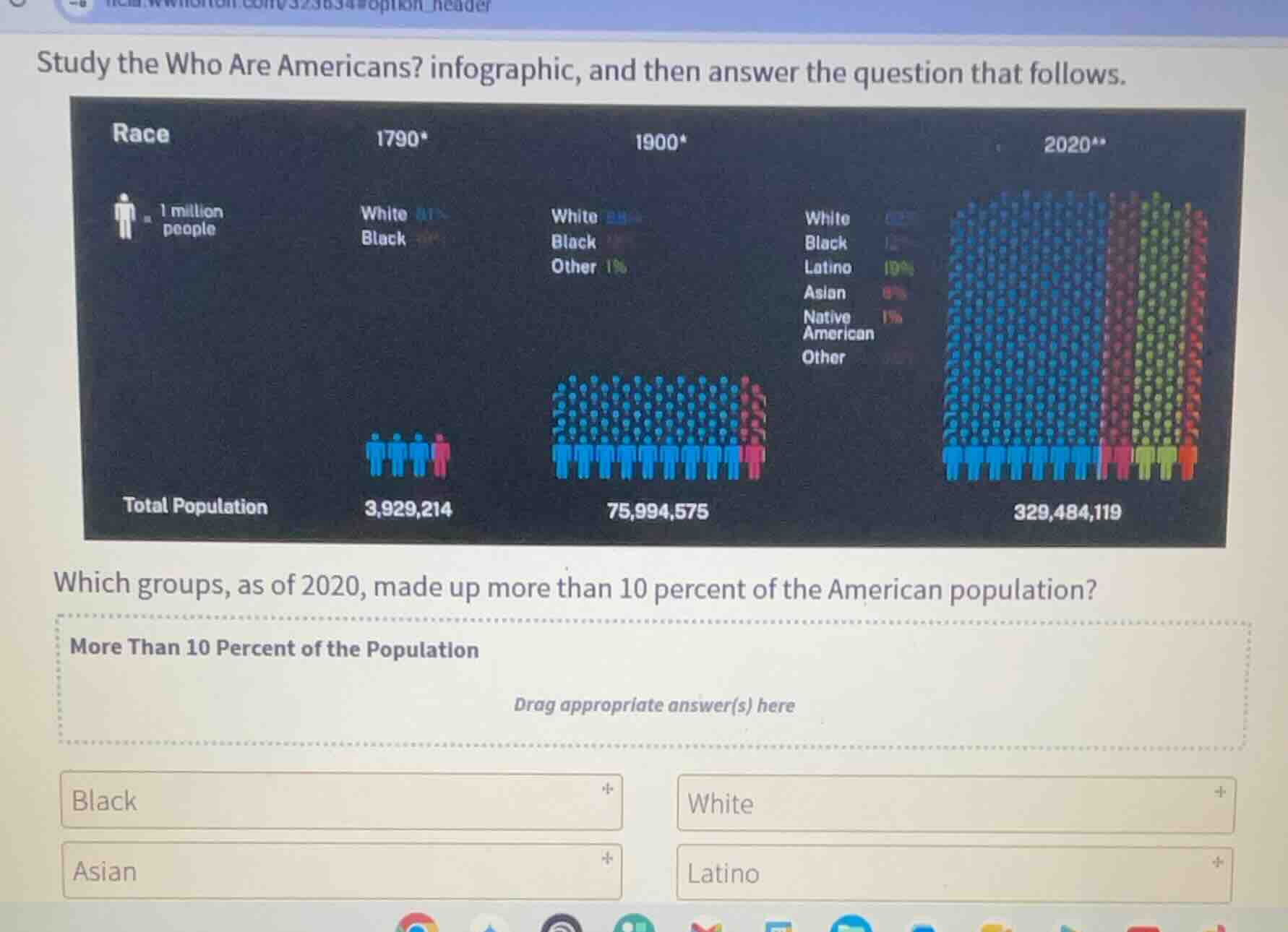 study the who are americans? infographic, and then answer the question …