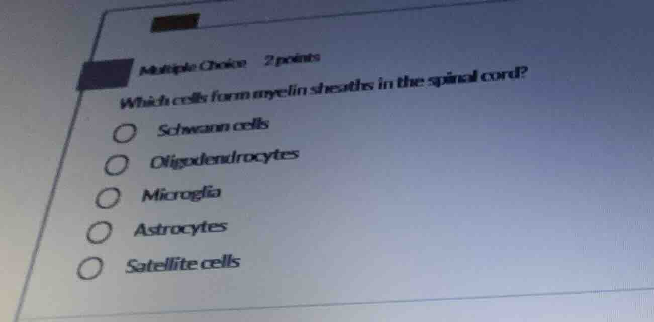 multiple choice 2 points which cells form myelin sheaths in the spinal …