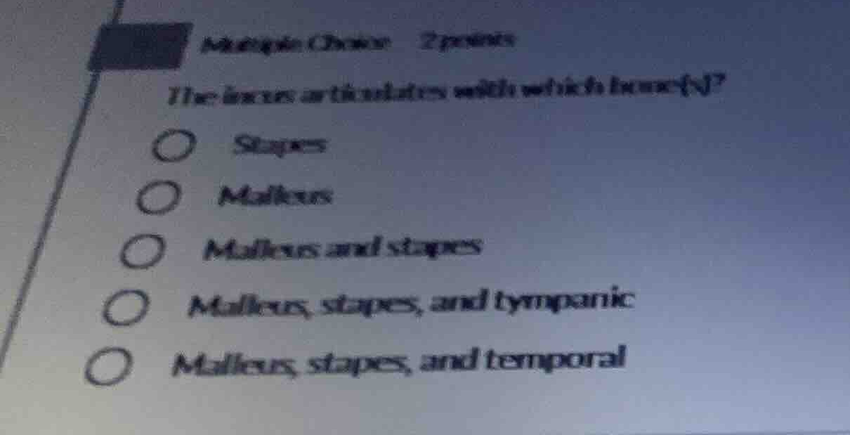 multiple choice 2 points the incus articulates with which bone(s)? - st…