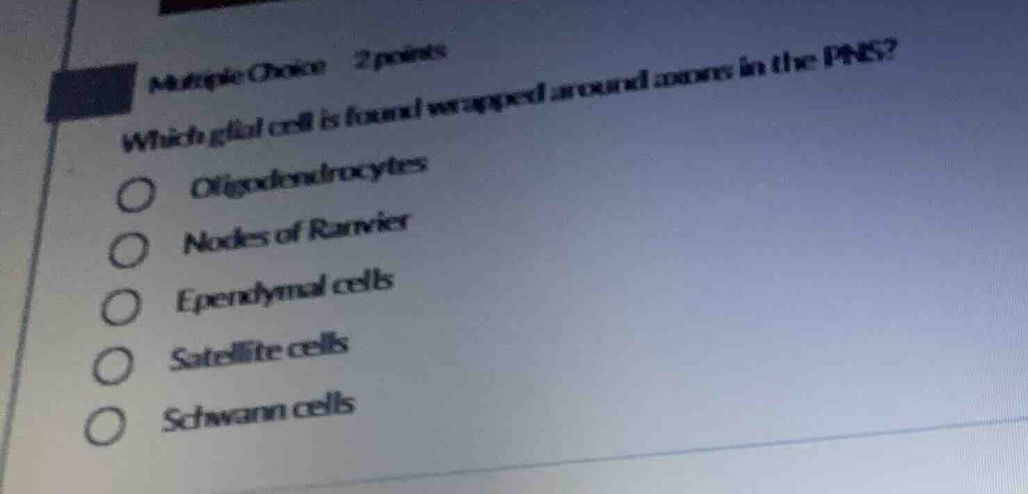 multiple choice 2 points which glial cell is found wrapped around axons…