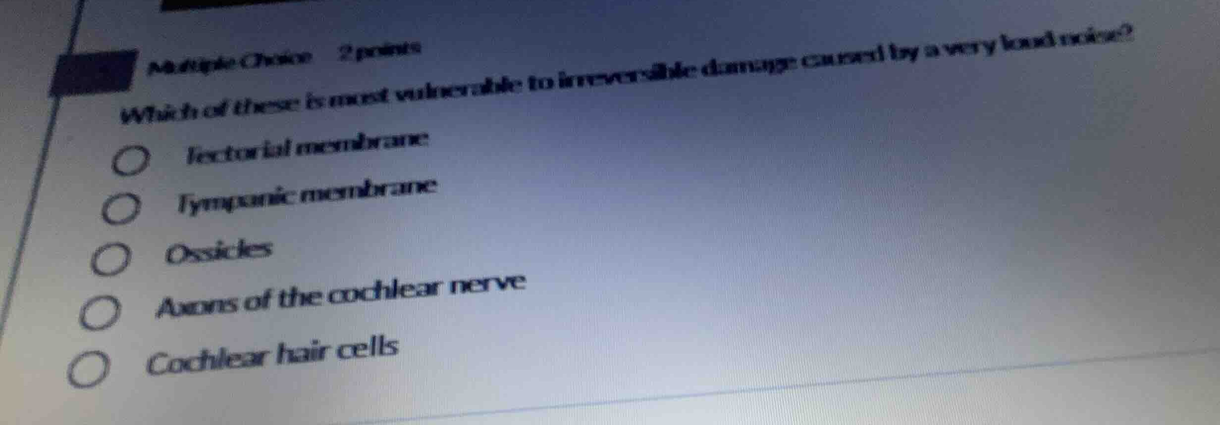 multiple choice 2 points which of these is most vulnerable to irreversi…