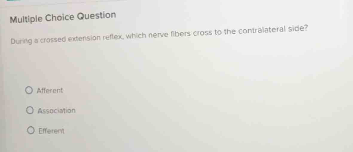 multiple choice question during a crossed extension reflex, which nerve…