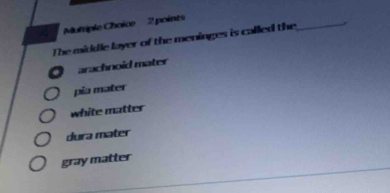 multiple choice 2 points the middle layer of the meninges is called the…