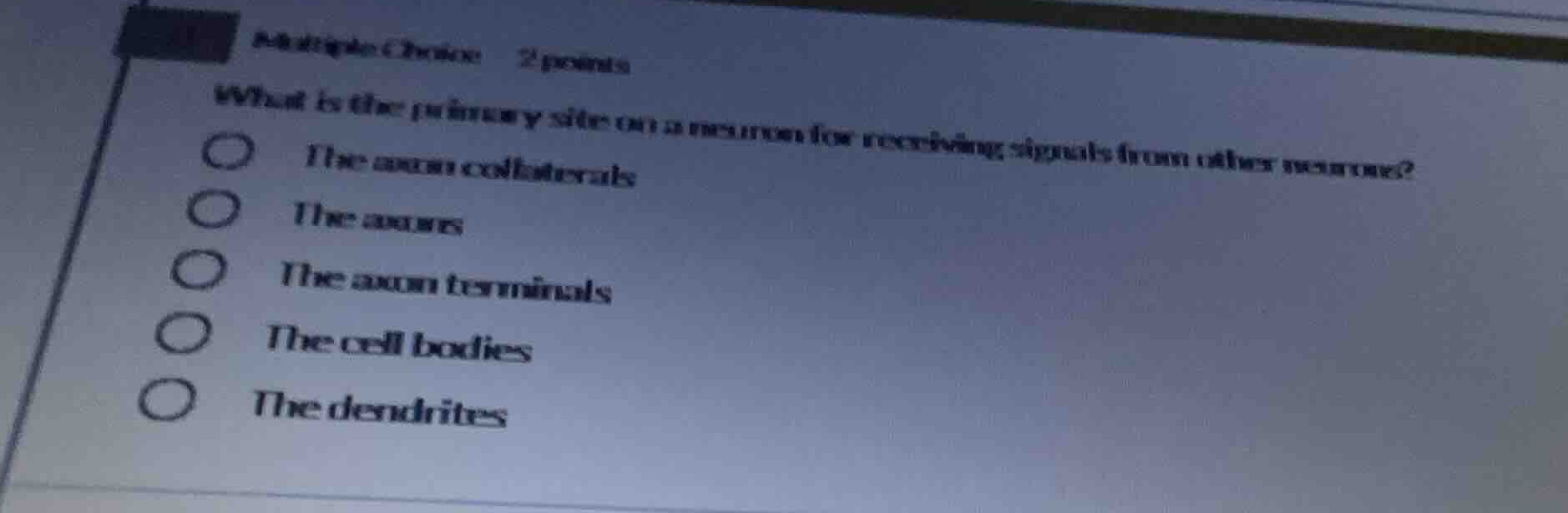 multiple choice 2 points what is the primary site on a neuron for recei…