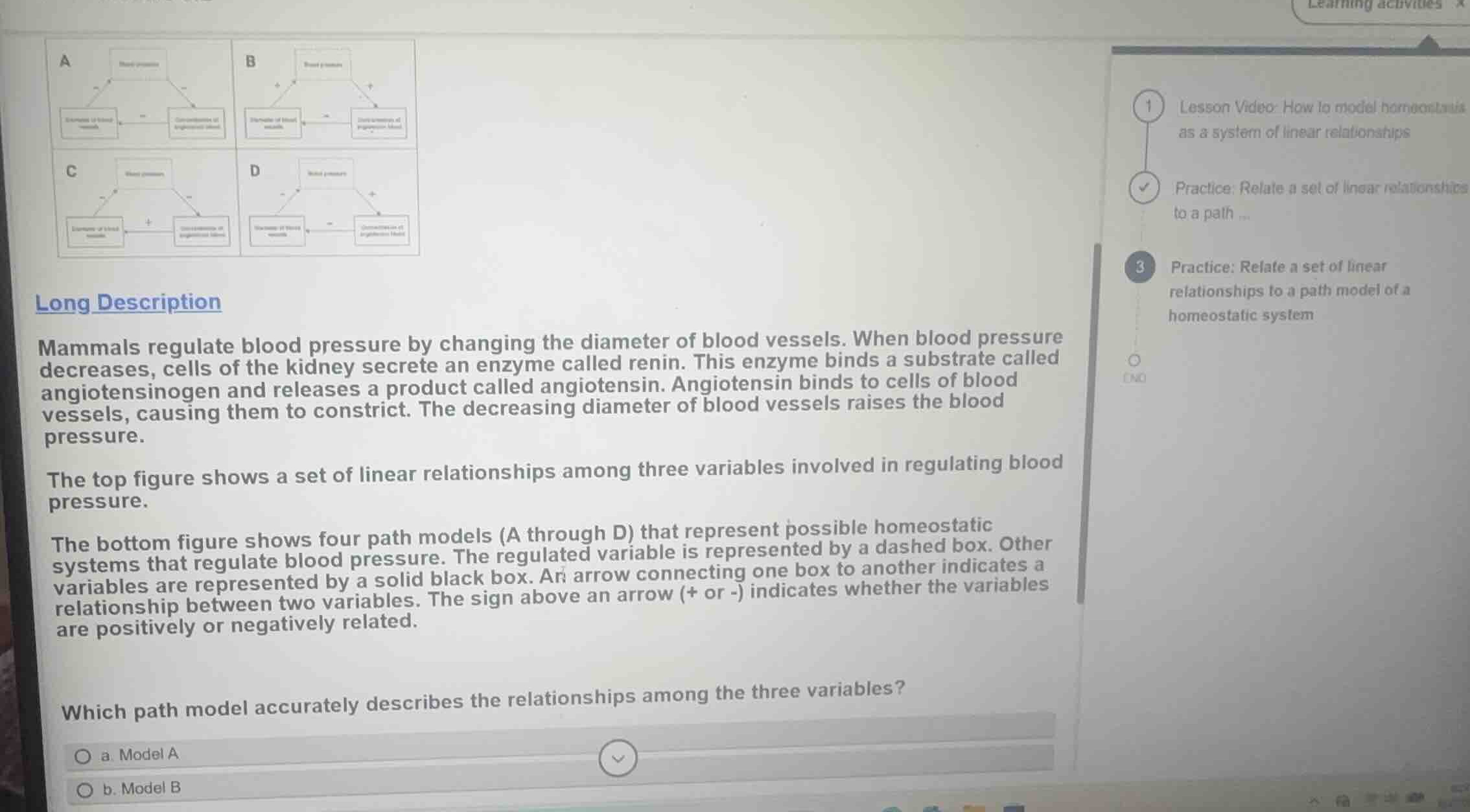 mammals regulate blood pressure by changing the diameter of blood vesse…