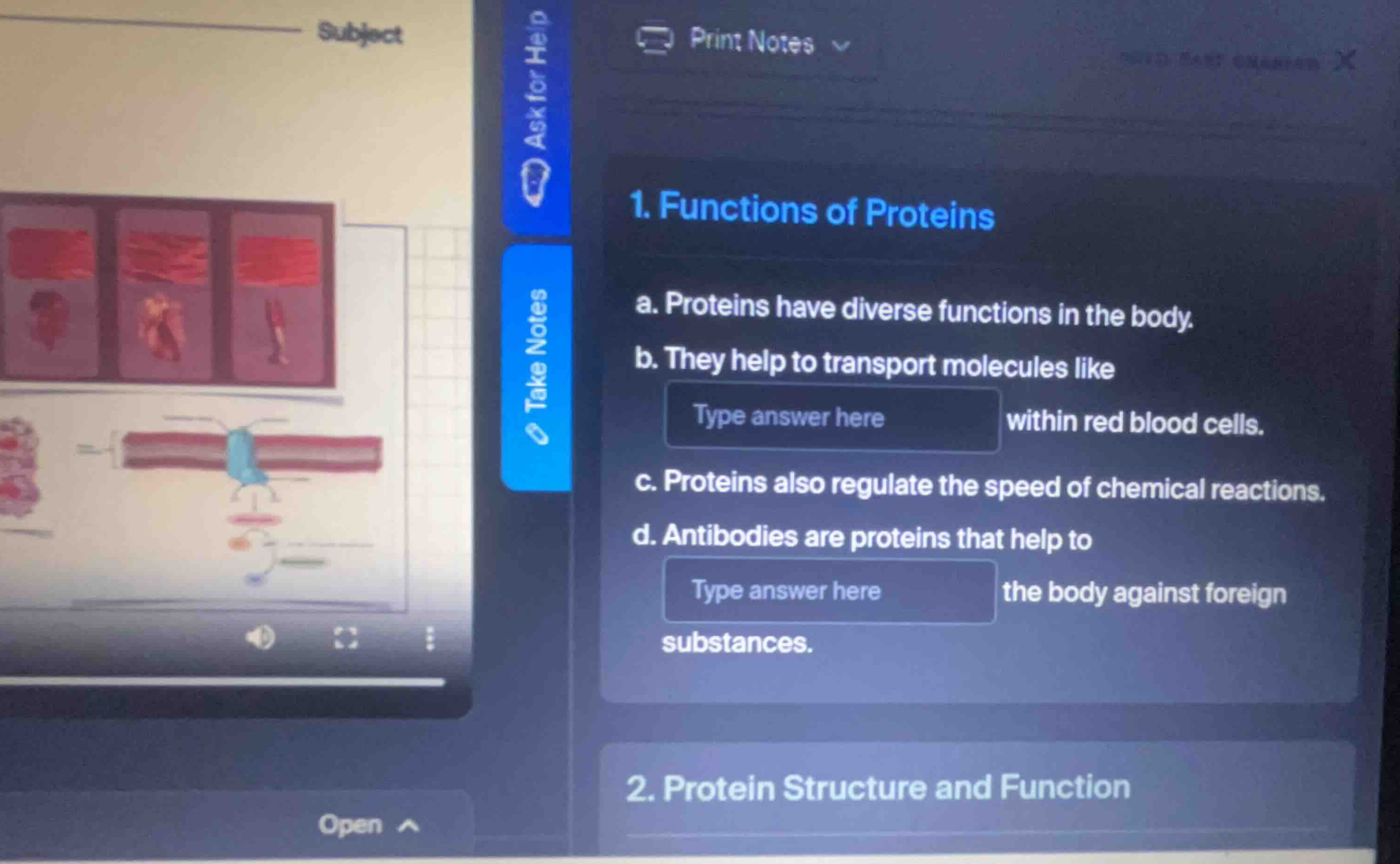 1. functions of proteins a. proteins have diverse functions in the body…