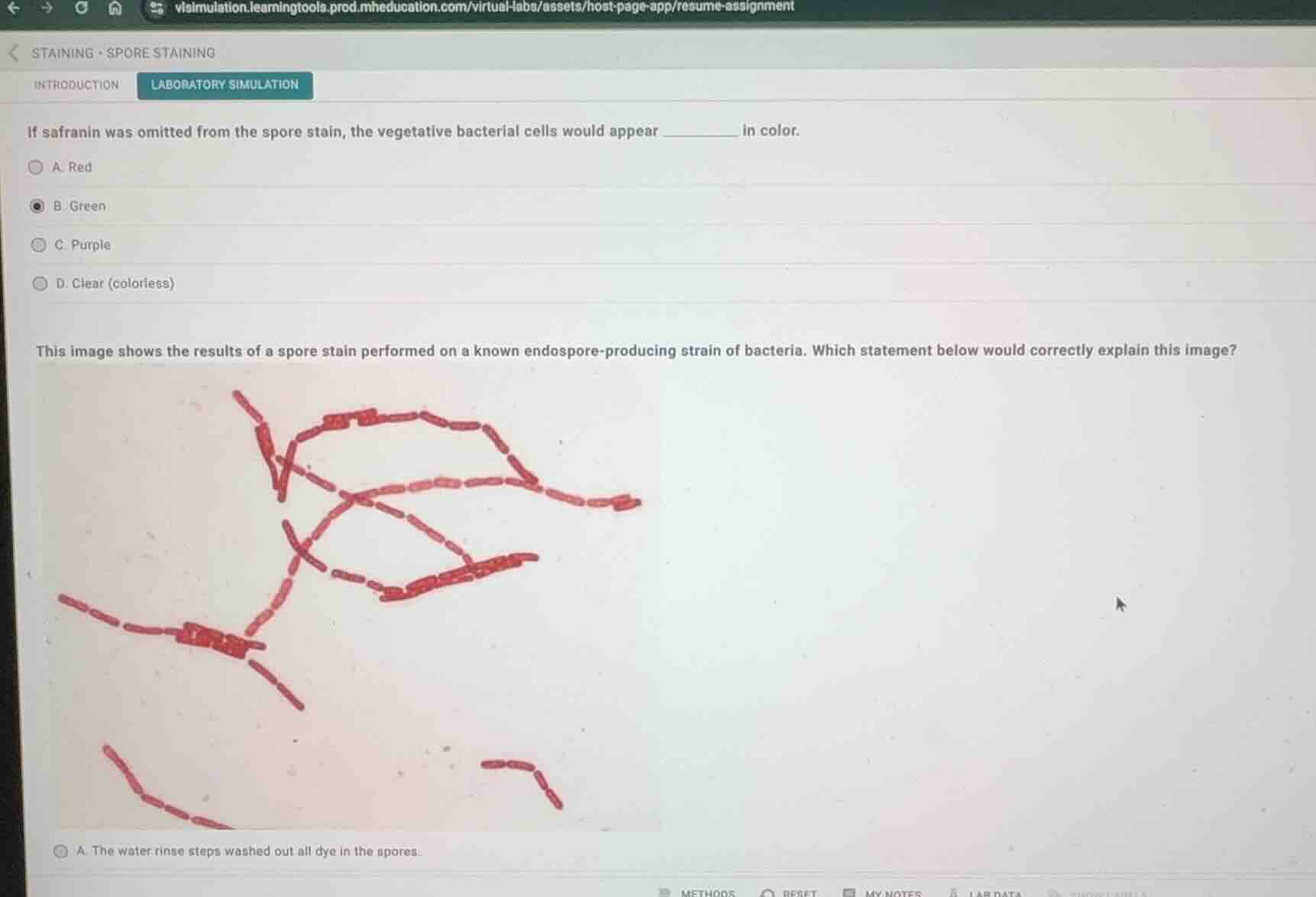 if safranin was omitted from the spore stain, the vegetative bacterial …