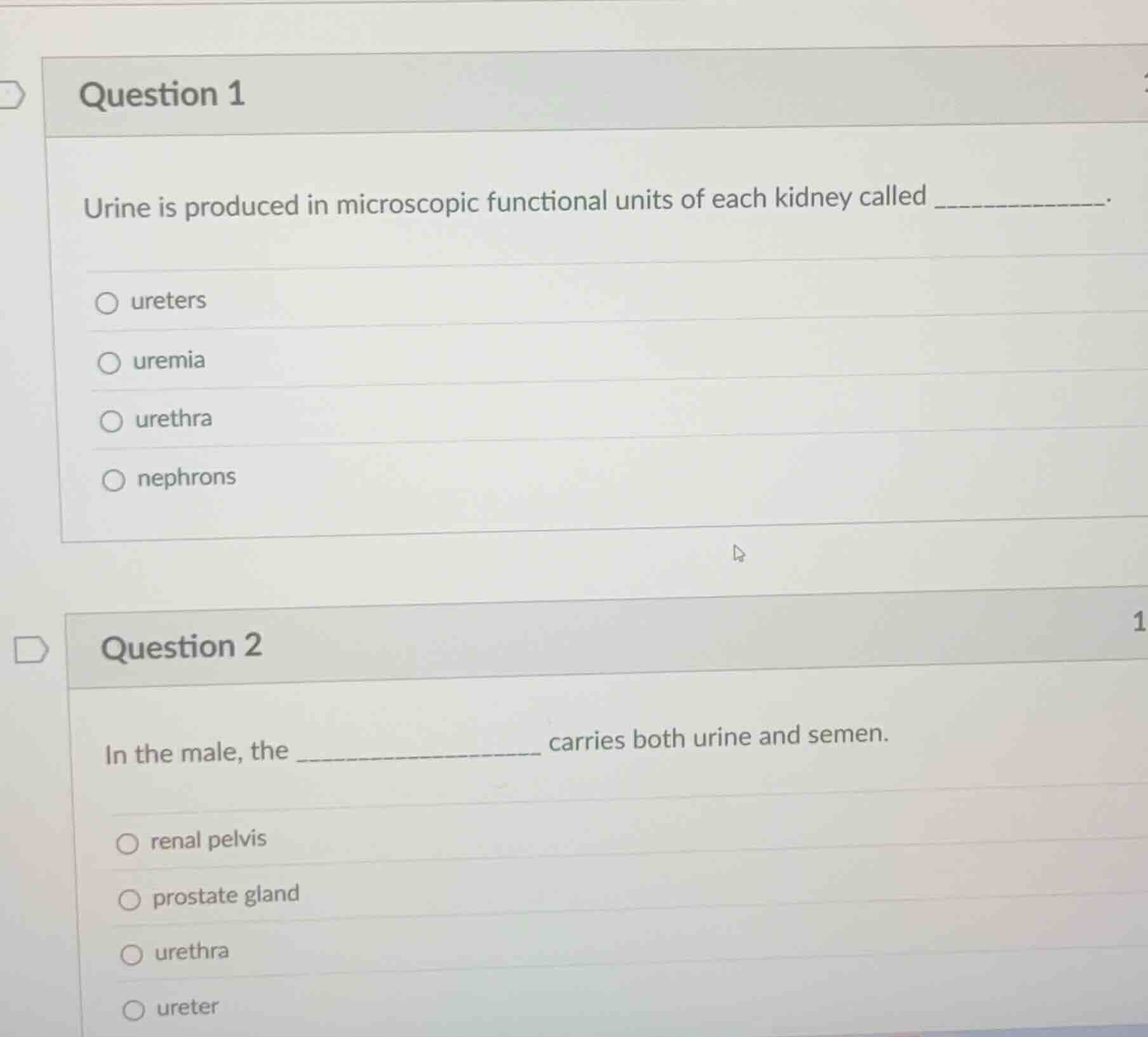 question 1 urine is produced in microscopic functional units of each ki…