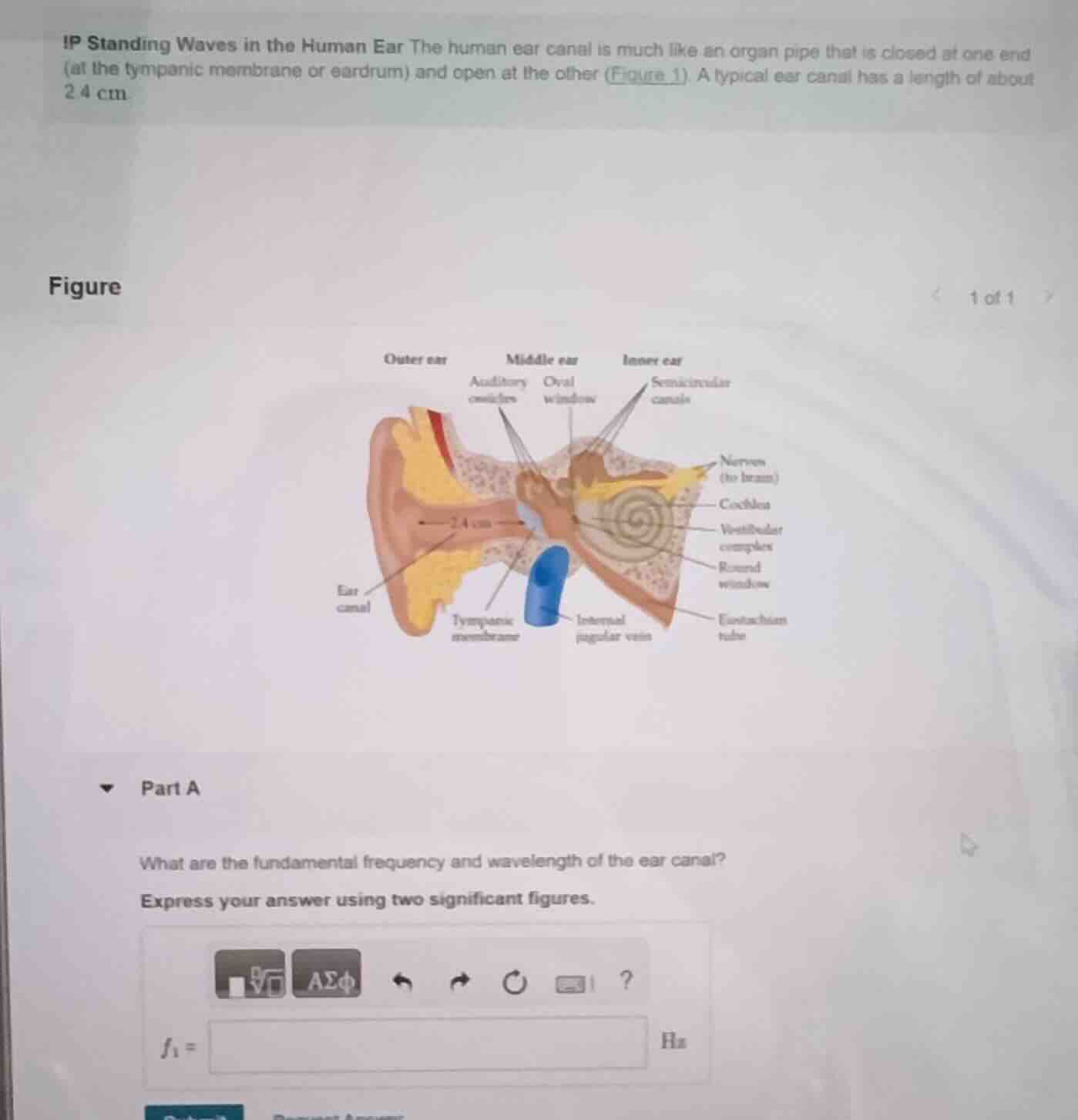 ip standing waves in the human ear the human ear canal is much like an …