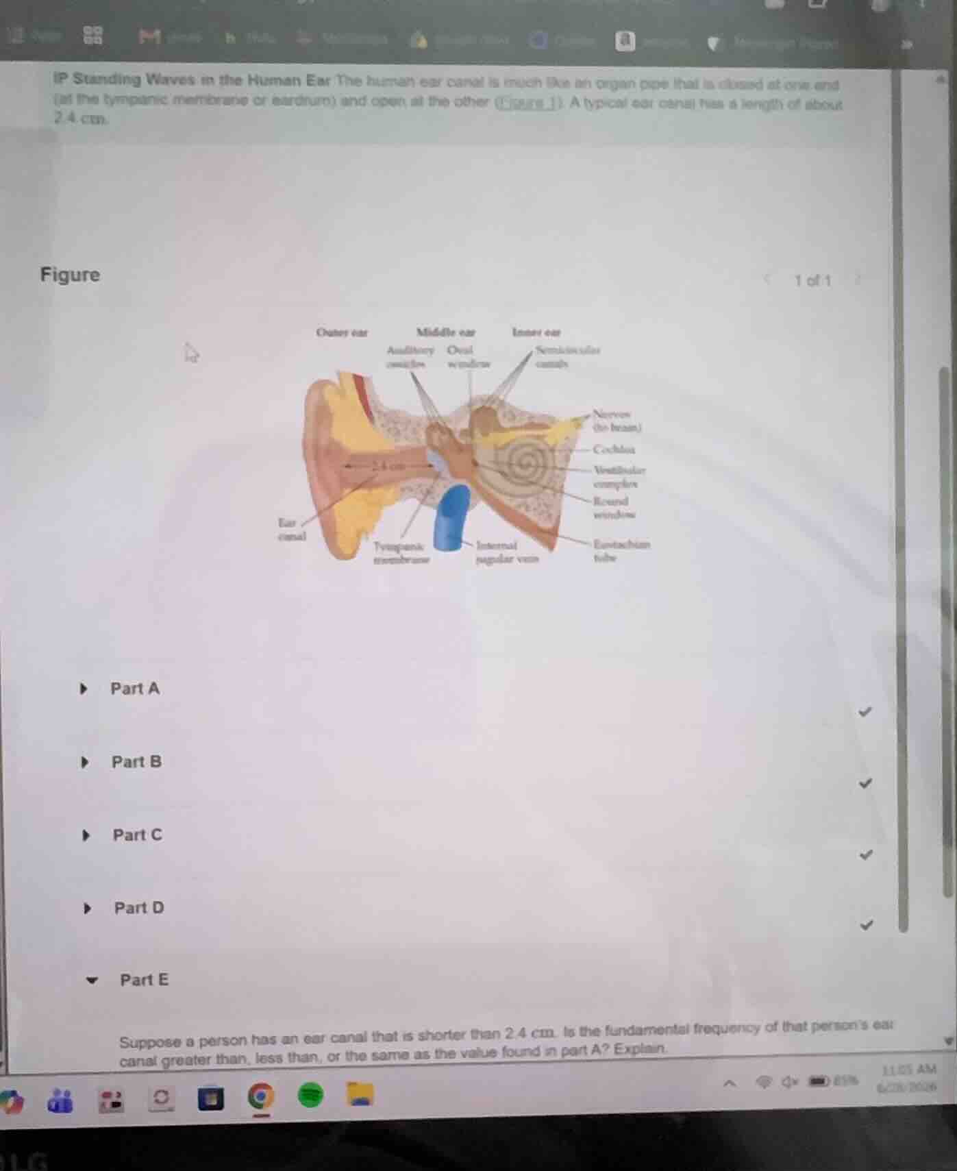 ip standing waves in the human ear the human ear canal is much like an …
