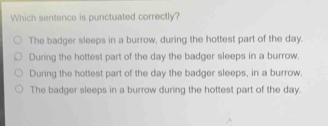 which sentence is punctuated correctly? the badger sleeps in a burrow, …