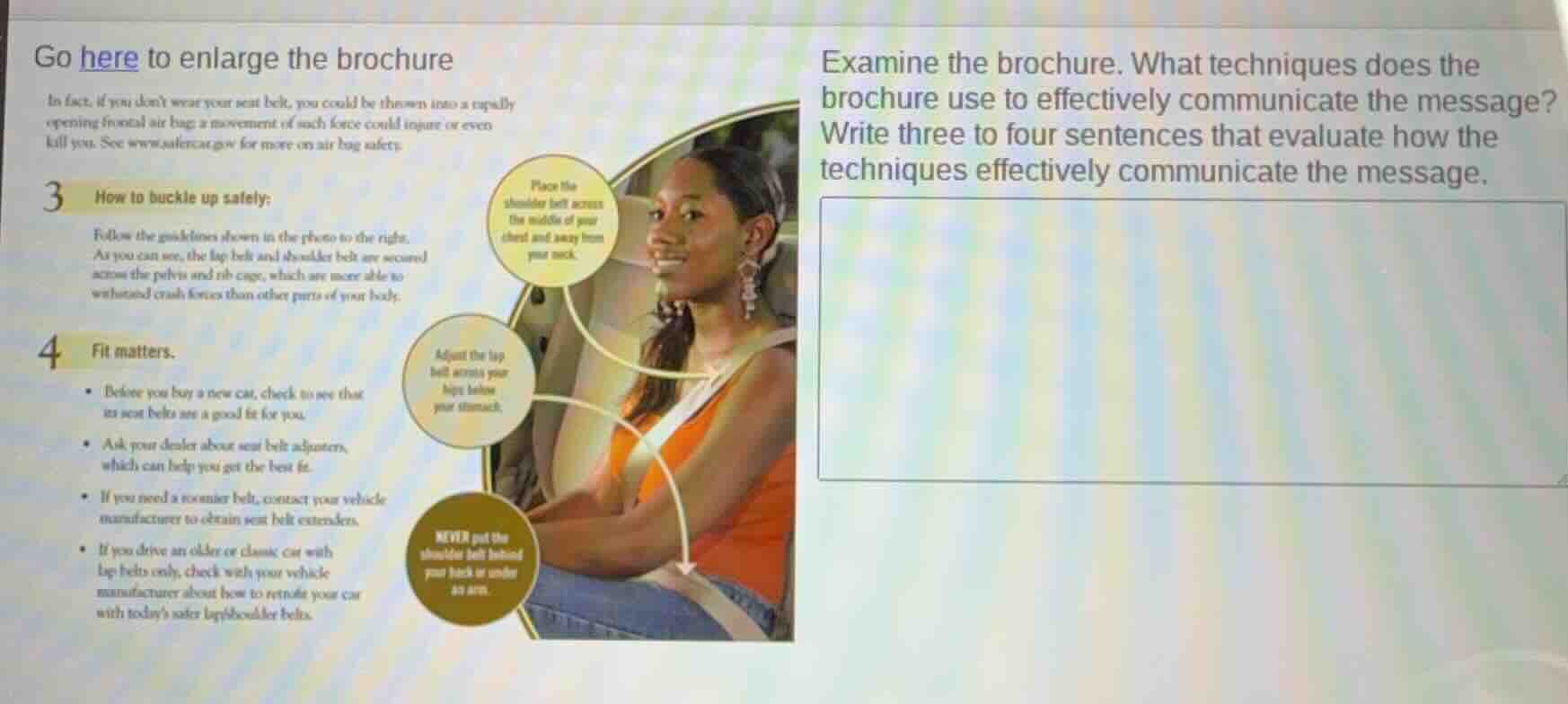 examine the brochure. what techniques does the brochure use to effectiv…