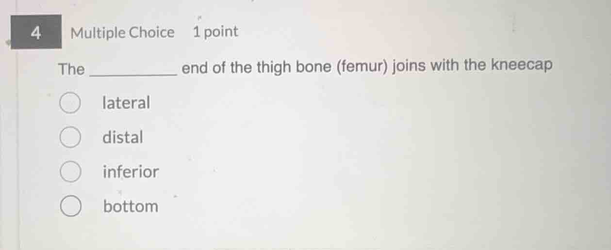 the ________ end of the thigh bone (femur) joins with the kneecap later…