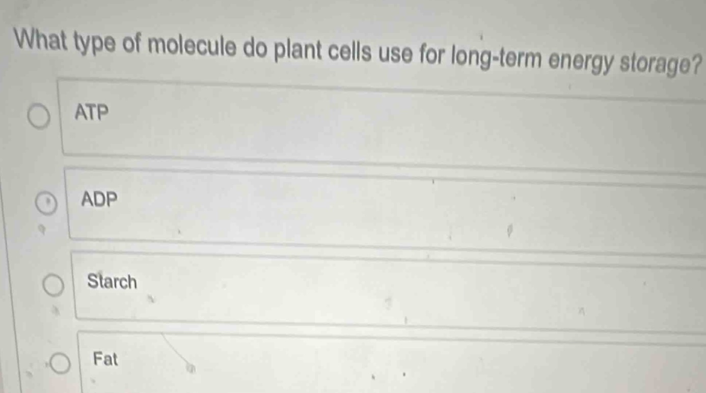 what type of molecule do plant cells use for long-term energy storage? …