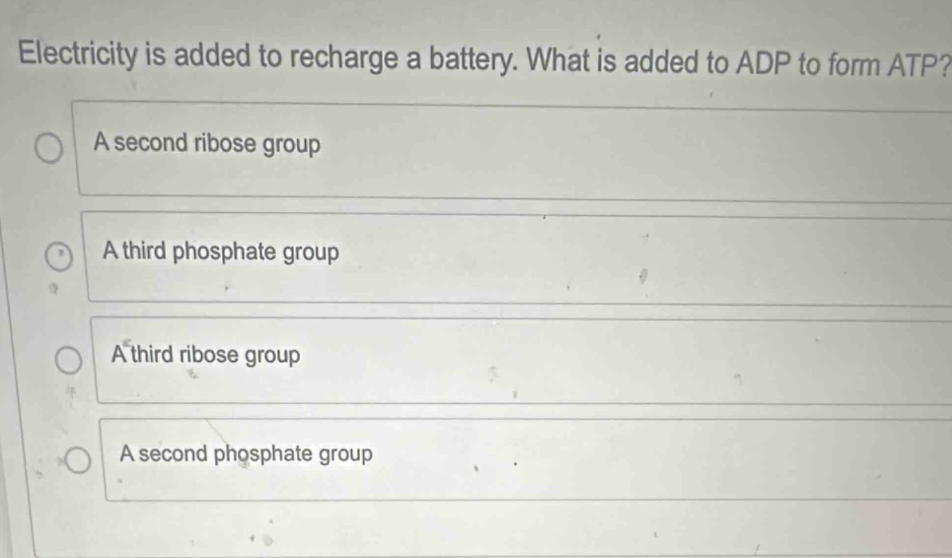 electricity is added to recharge a battery. what is added to adp to for…