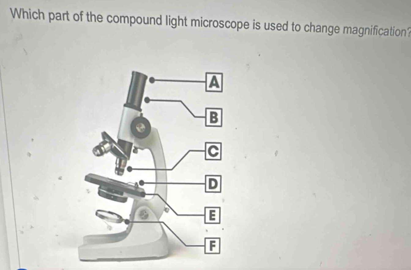 which part of the compound light microscope is used to change magnifica…