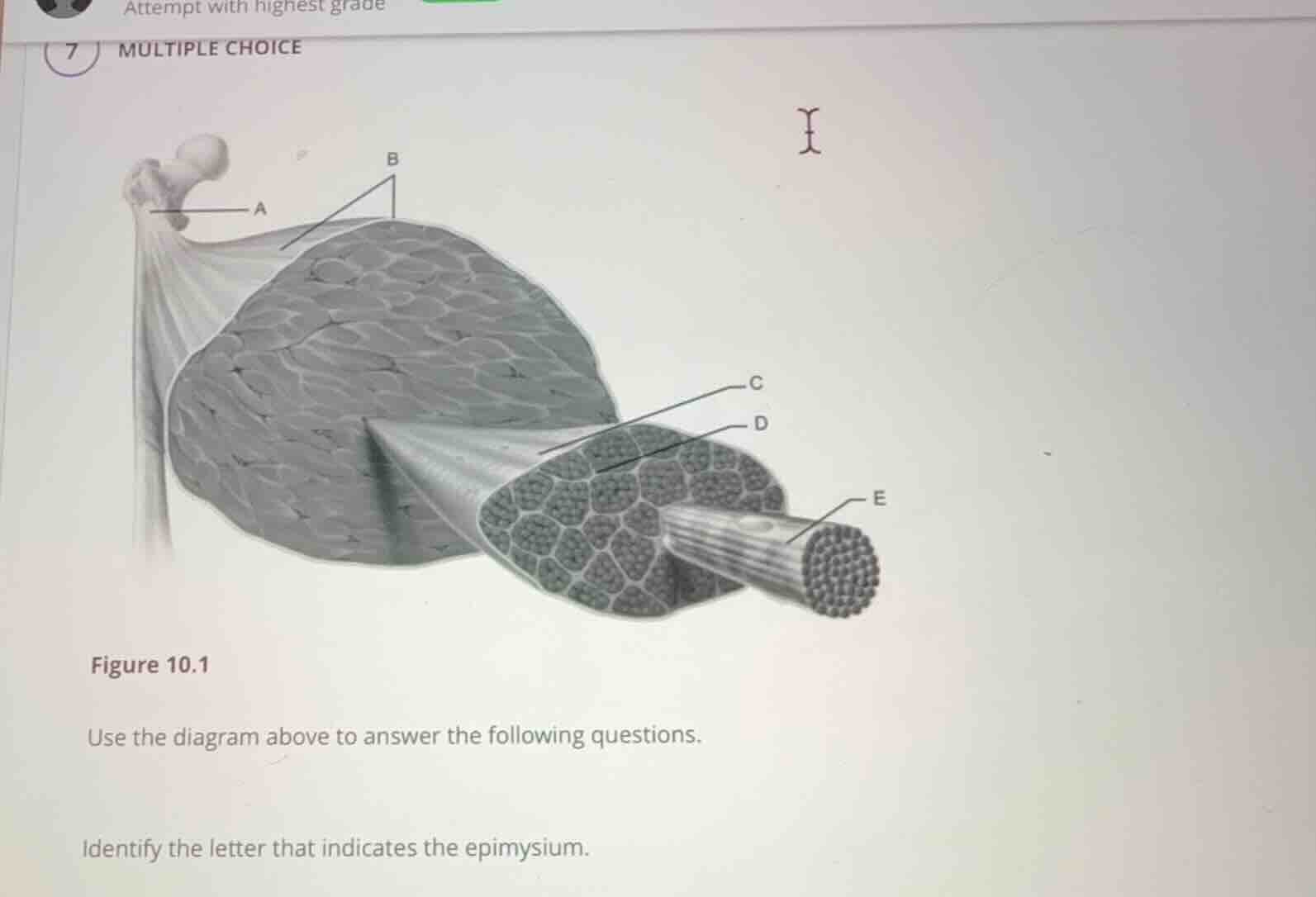 figure 10.1 use the diagram above to answer the following questions. id…