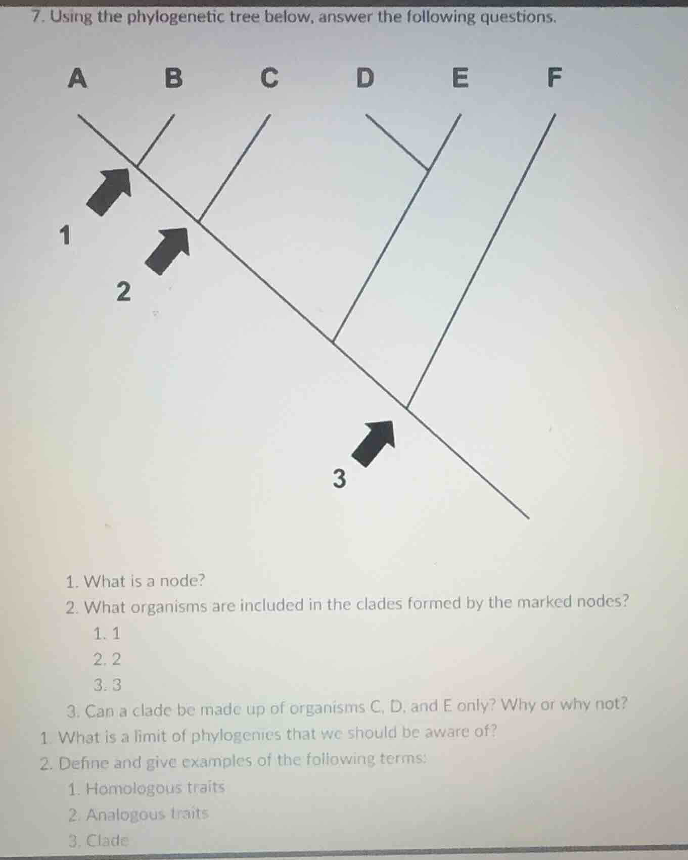 7. using the phylogenetic tree below, answer the following questions. 1…