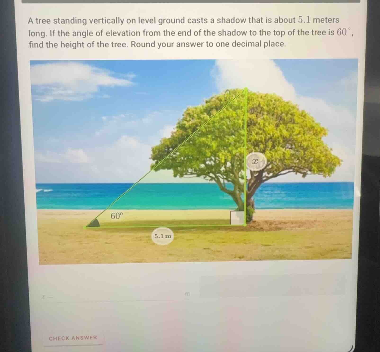 a tree standing vertically on level ground casts a shadow that is about…