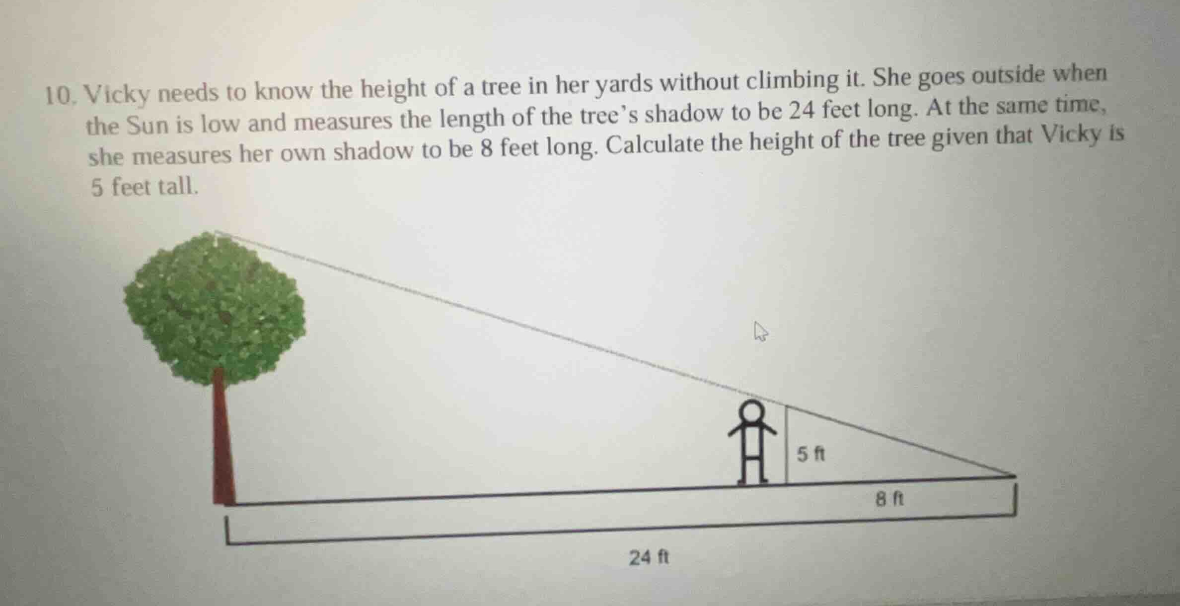10. vicky needs to know the height of a tree in her yards without climb…