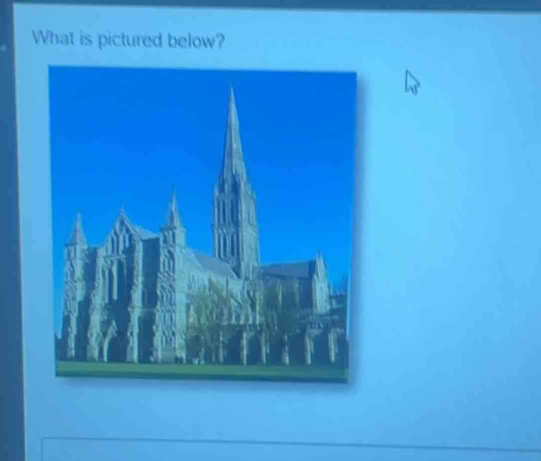 what is pictured below?