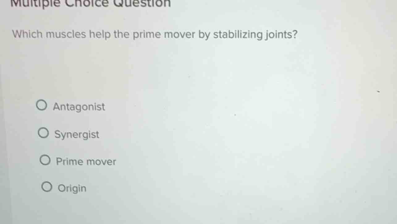multiple choice question which muscles help the prime mover by stabiliz…