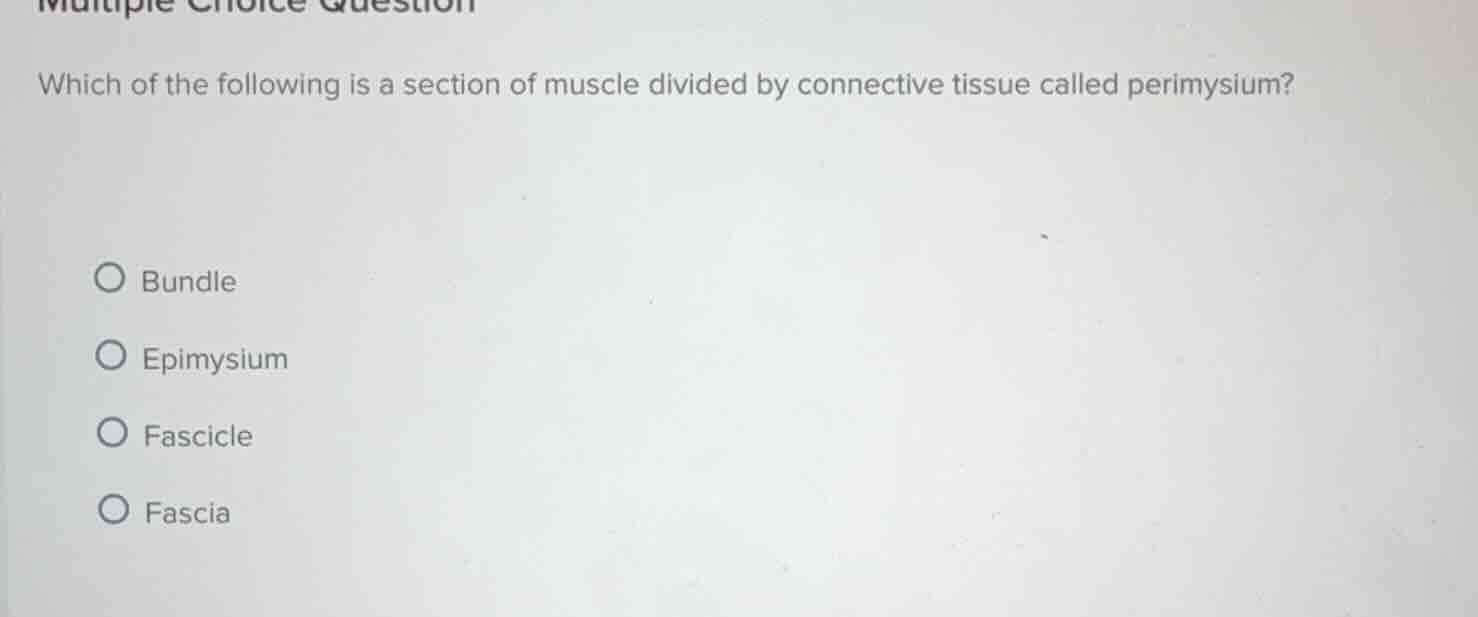 multiple choice question which of the following is a section of muscle …