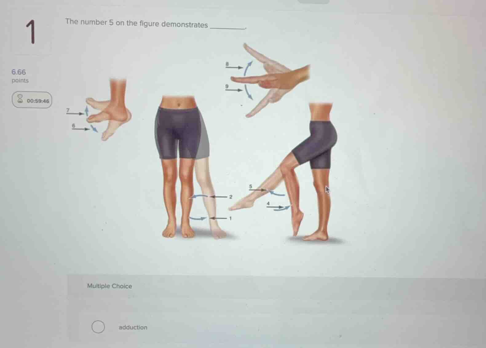 the number 5 on the figure demonstrates ______. multiple choice adducti…