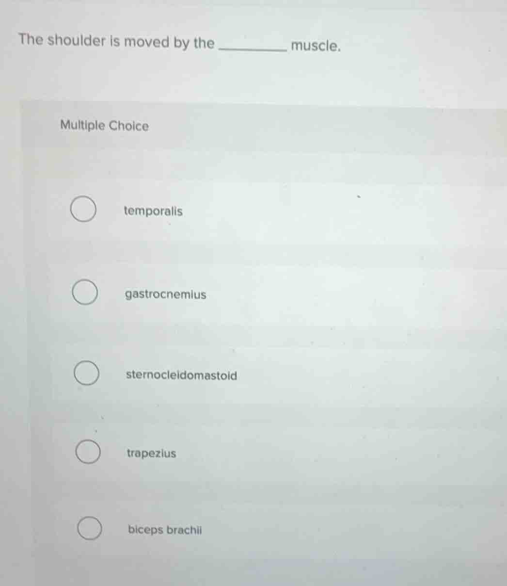 the shoulder is moved by the ________ muscle. multiple choice temporali…
