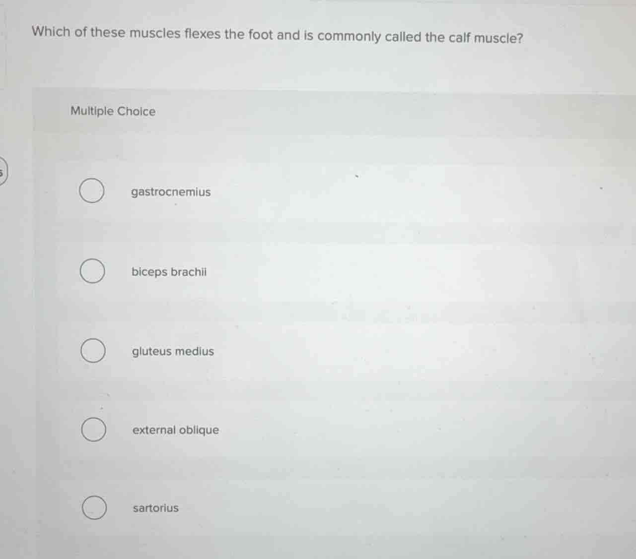 which of these muscles flexes the foot and is commonly called the calf …