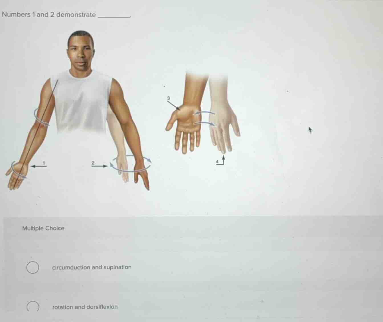 numbers 1 and 2 demonstrate ______. multiple choice circumduction and s…