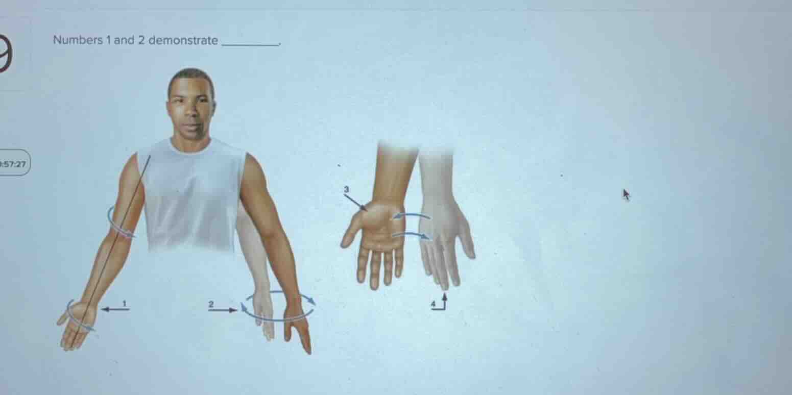 numbers 1 and 2 demonstrate ________.