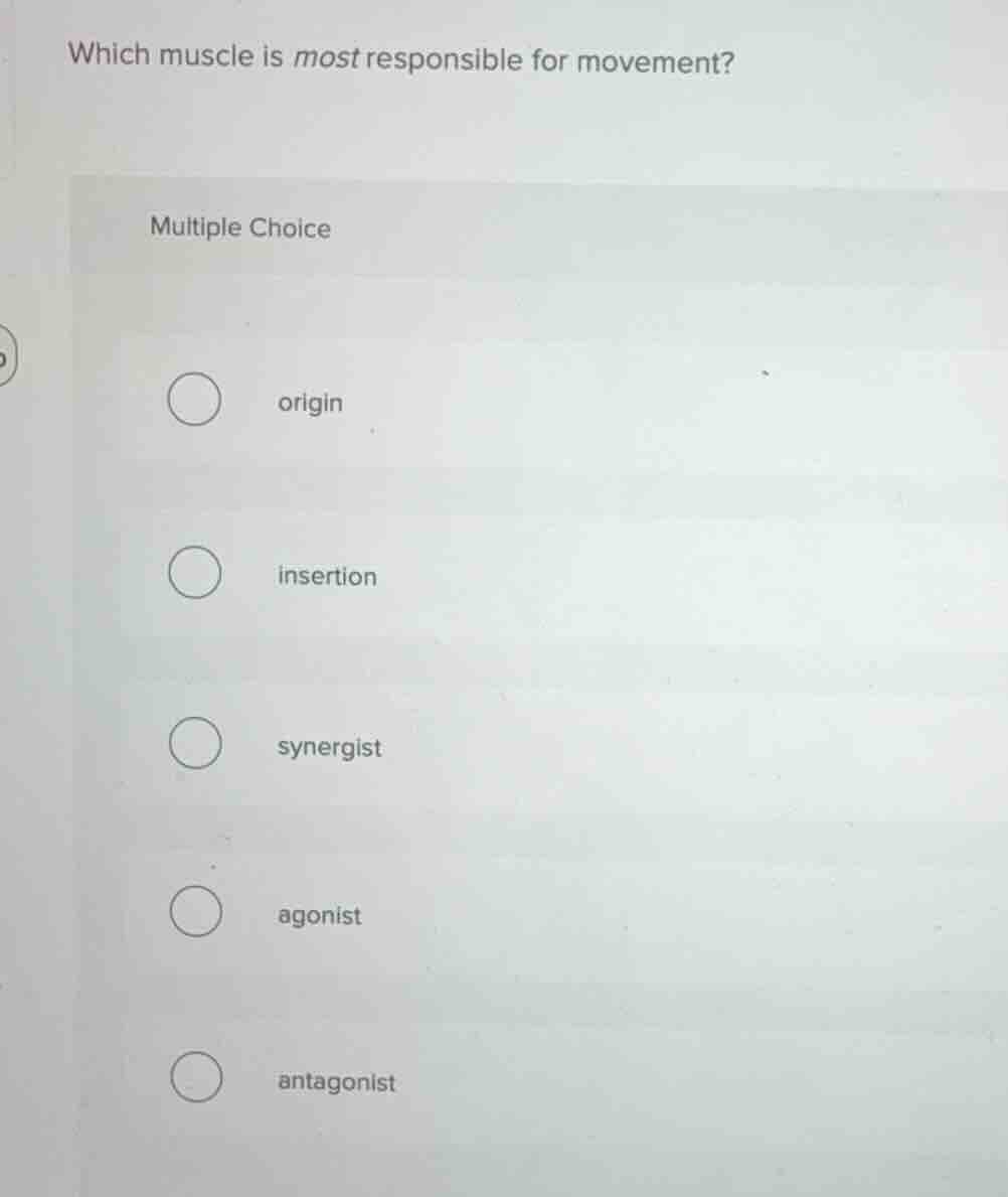 which muscle is most responsible for movement? multiple choice origin i…