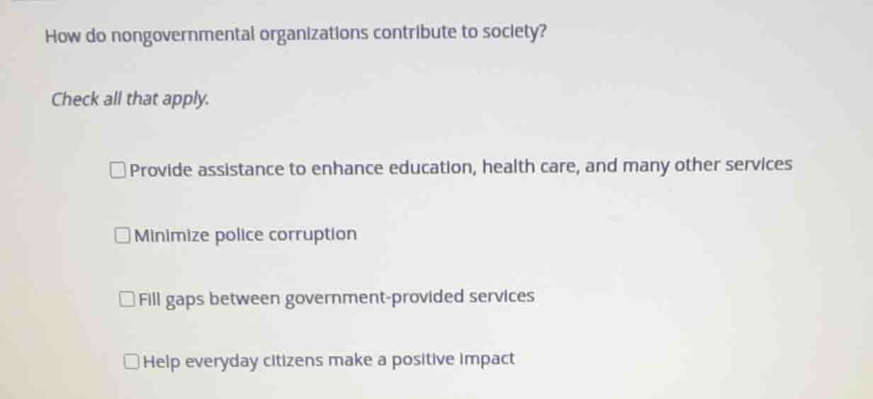 how do nongovernmental organizations contribute to society? check all t…