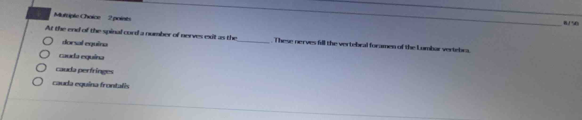 multiple choice 2 points at the end of the spinal cord a number of nerv…