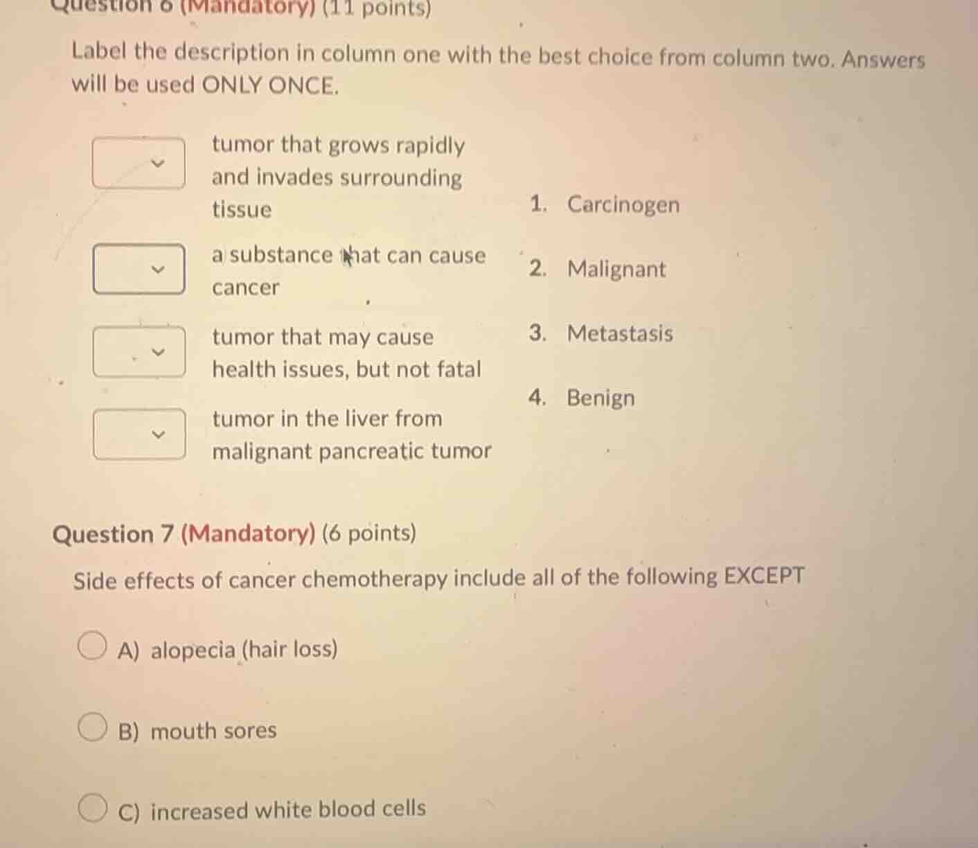 question 6 (mandatory) (11 points) label the description in column one …
