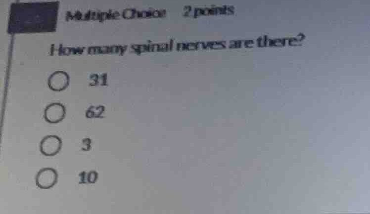 multiple choice 2 points how many spinal nerves are there? 31 62 3 10