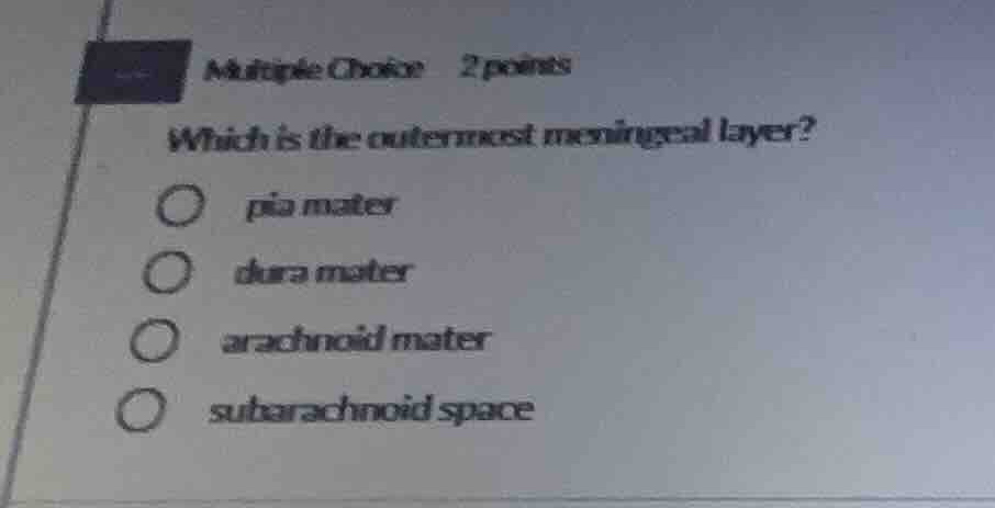 multiple choice 2 points which is the outermost meningeal layer? pia ma…
