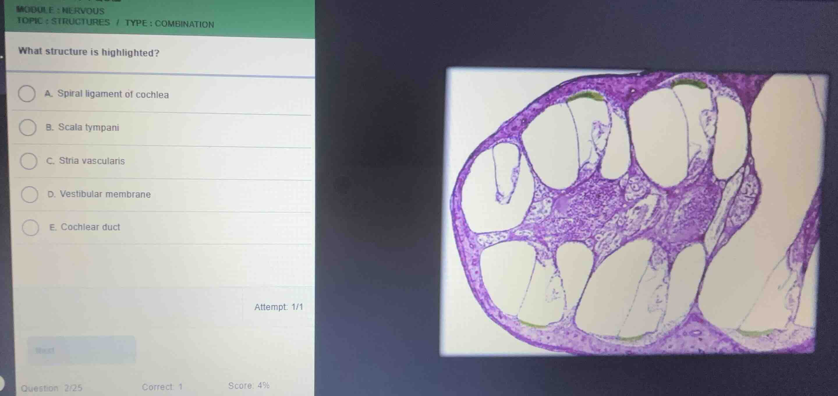 module: nervous topic: structures / type: combination what structure is…