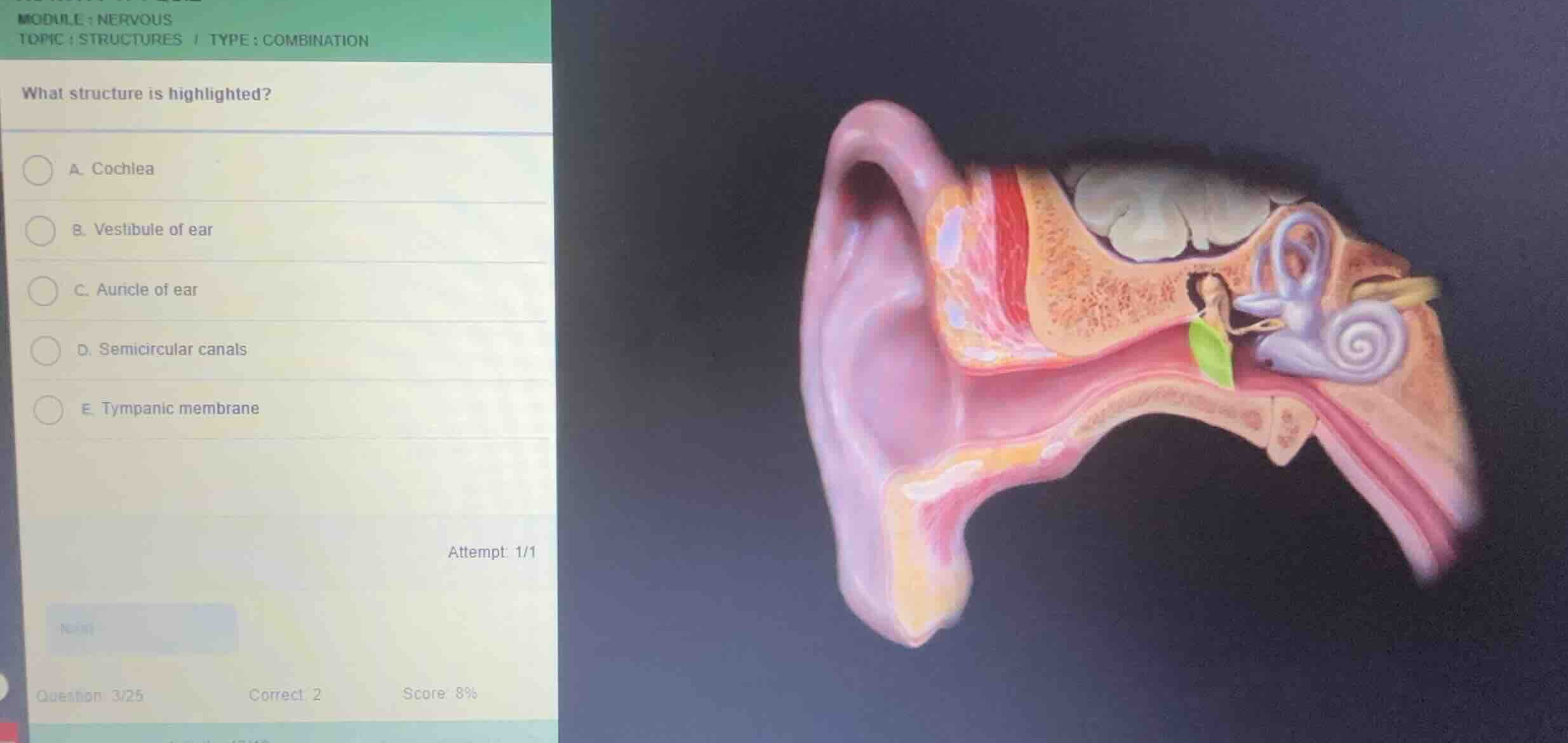 module: nervous topic: structures / type: combination what structure is…